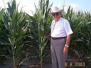cornaug03.jpg